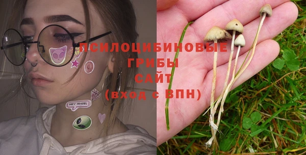 каннабис Абаза